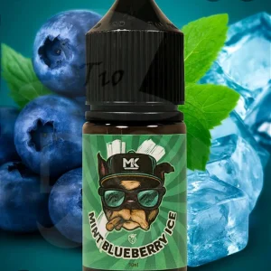 Sal maskking mint Blueberry ice